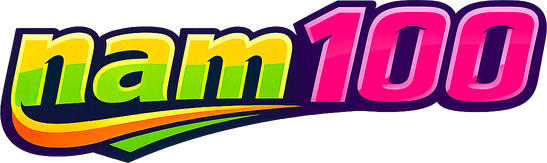 Logo nam100